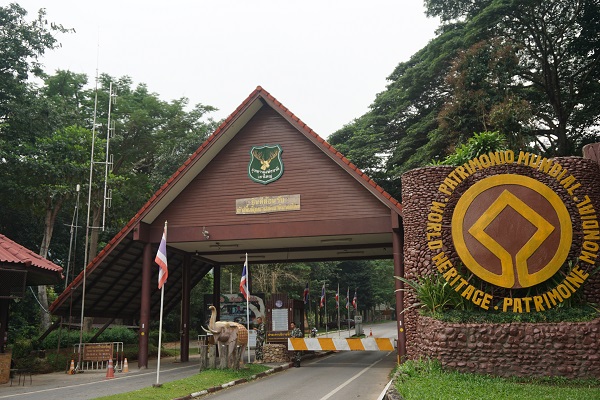 バンコクから3時間で行ける！『世界自然遺産カオヤイ国立公園』